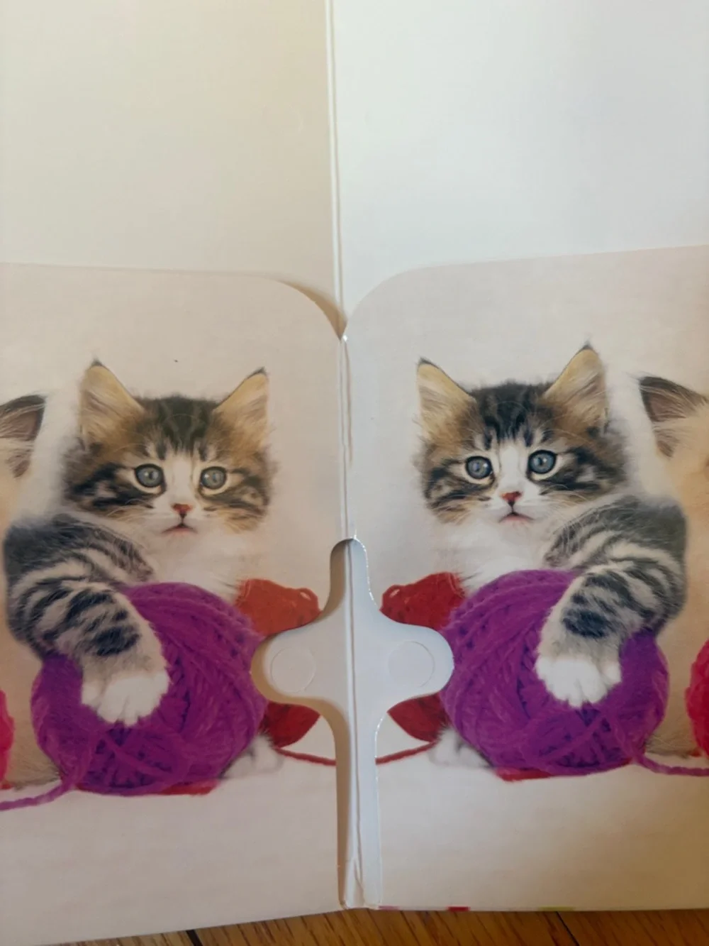 2010 Class Act Keith Kimberlin Kittens Playing with Yarn Cat Folder Home Office
